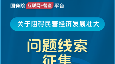 操操操揉国务院“互联网+督查”平台公开征集阻碍民营经济发展壮大问题线索